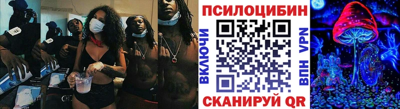Псилоцибиновые грибы мухоморы  Купить закладки  Приморско-Ахтарск 